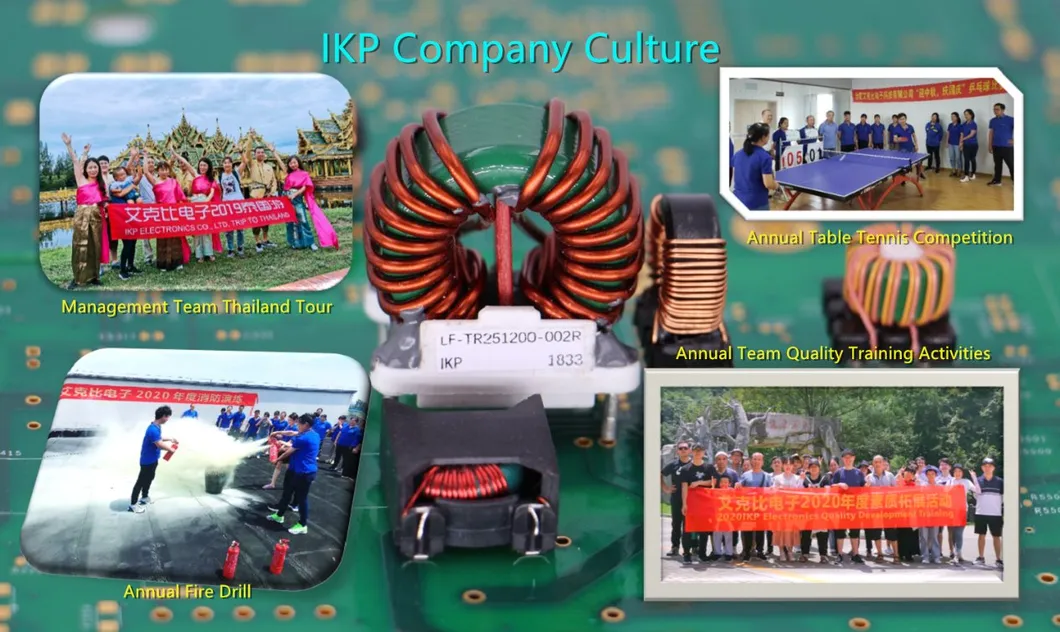Ikp Factory Op maat gemaakte EPC-type SMPS-hogefrequentietransformator