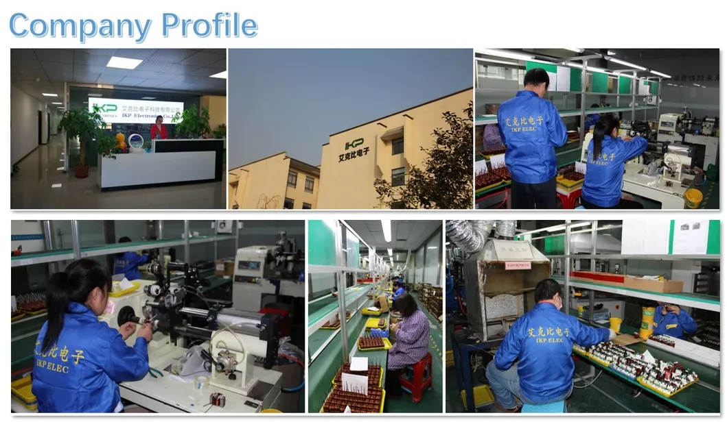 ISO9001 Goedgekeurd Instrument Ikp-Elec Carton RM4/5/6/7/8/9/10/12/13/14 SMPS Hoogfrequente stroomtransformer